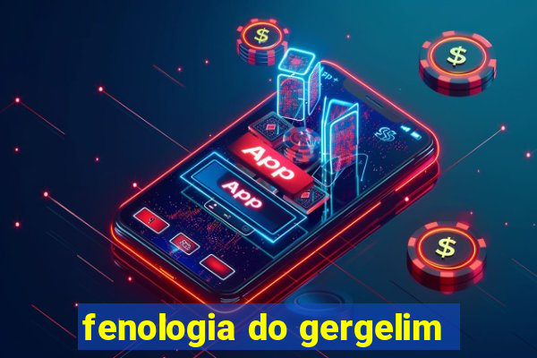 fenologia do gergelim